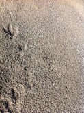 brick-sand